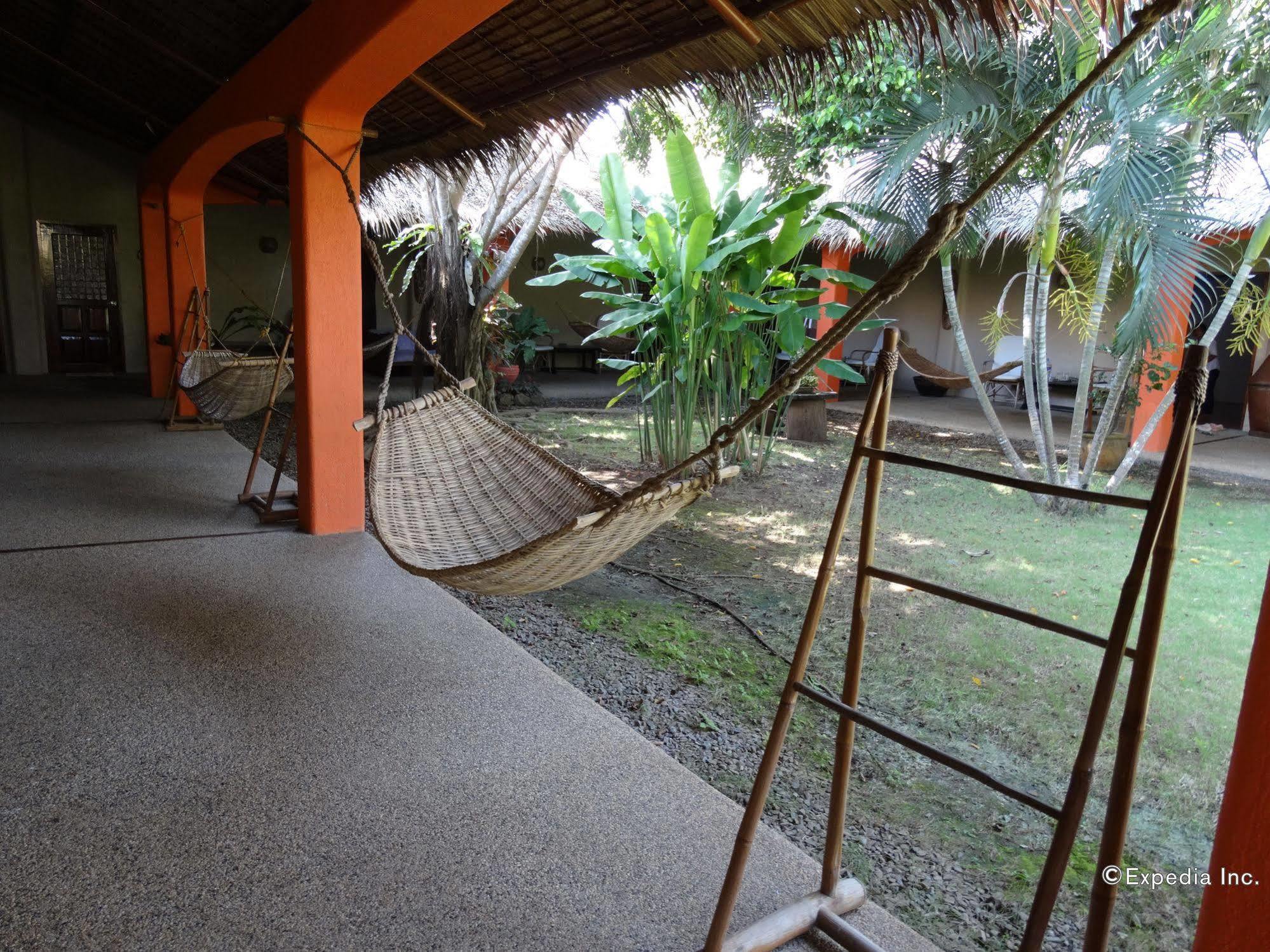 Hibiscus Garden Inn Puerto Princesa Eksteriør billede