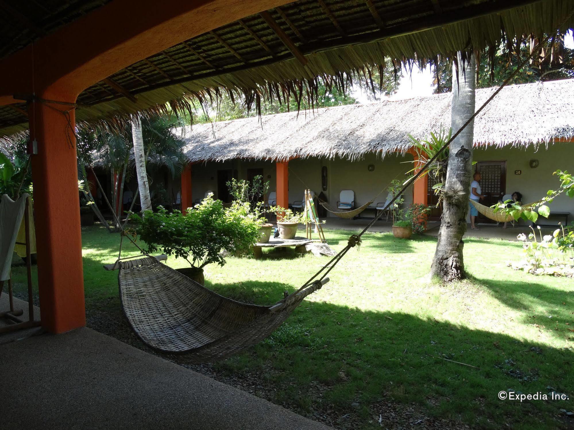 Hibiscus Garden Inn Puerto Princesa Eksteriør billede